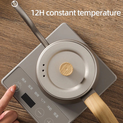 Gooseneck Electric Kettle – Smart Temperature